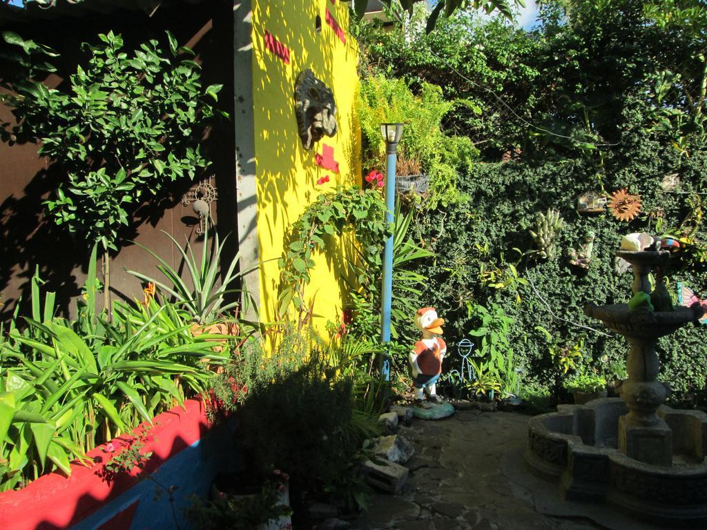 Hotel San Mateo San Salvador Ngoại thất bức ảnh