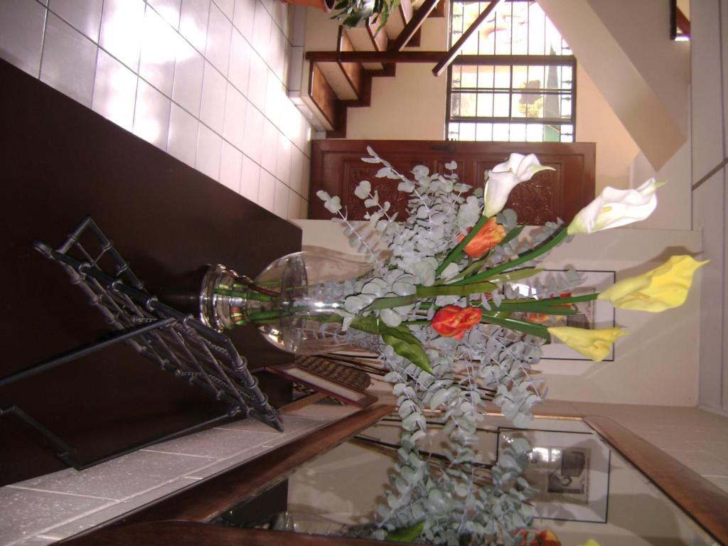 Hotel San Mateo San Salvador Ngoại thất bức ảnh